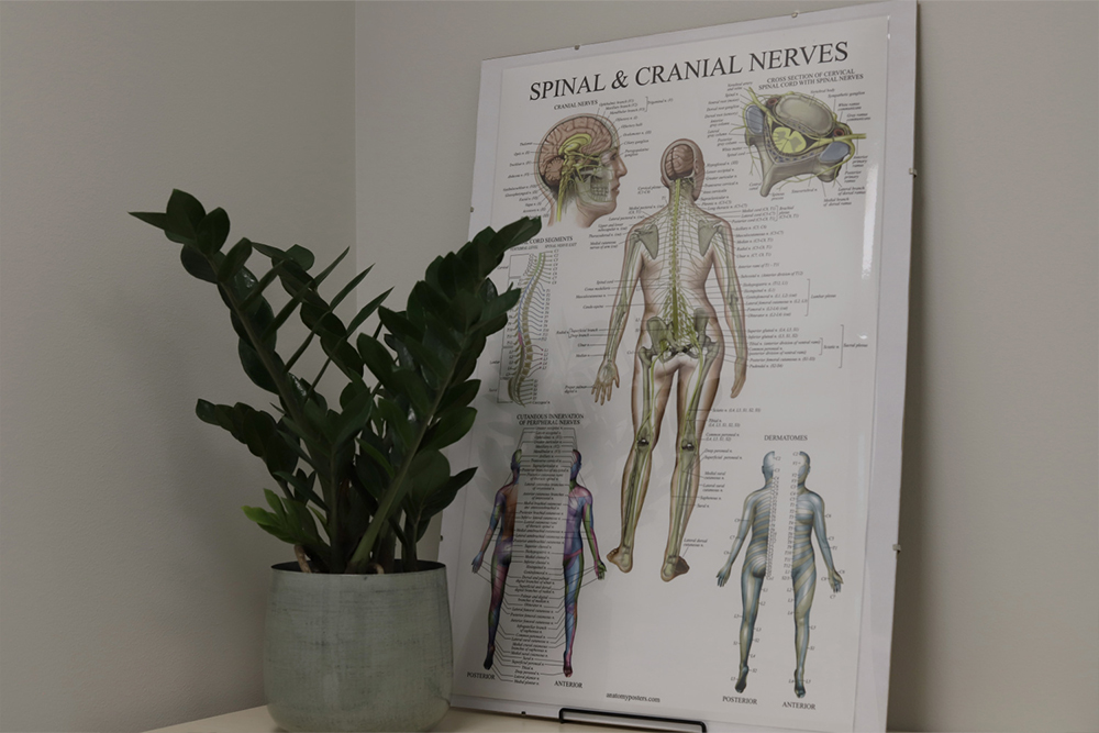 neirolors-konsultācija-Rīgā-neiromed-specialists